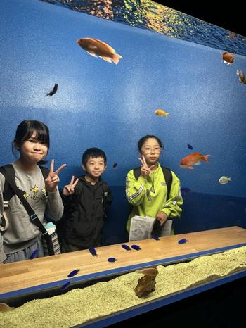 水族館を楽しむ児童(2)