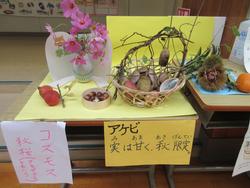季節の花だより