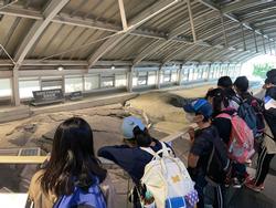 修学旅行