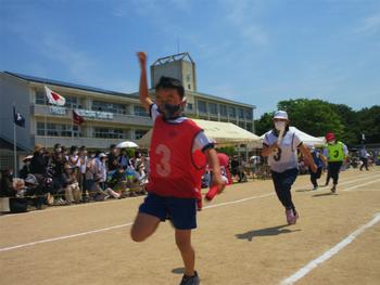 なかフェス