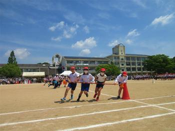 なかフェス