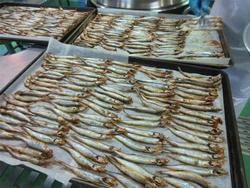給食室の様子