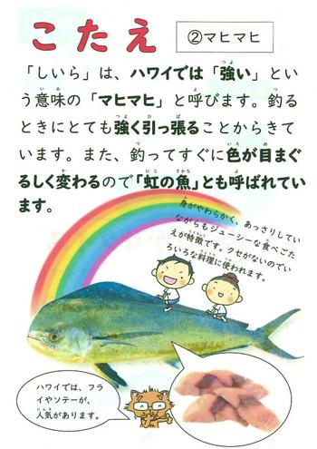 こたえ