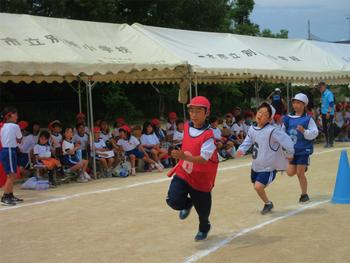 なかフェス