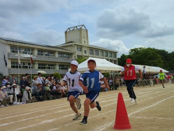 なかフェス