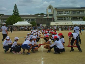 なかフェス