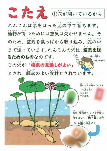 こたえ