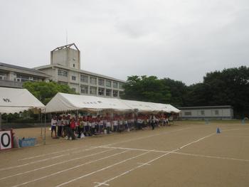 なかフェス