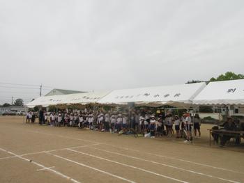 なかフェス