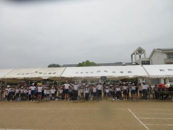 なかフェス