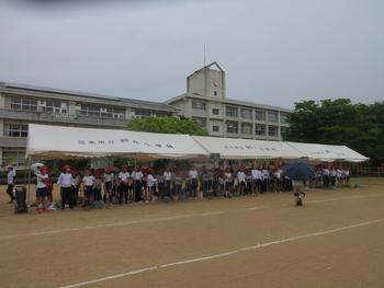 なかフェス