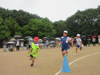 なかフェス