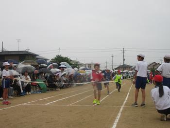 なかフェス