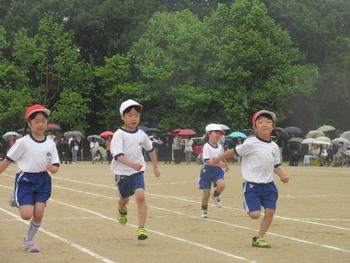 なかフェス