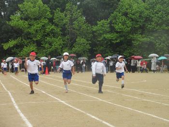 なかフェス