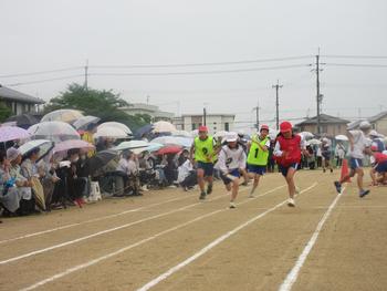 なかフェス