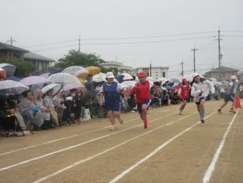 なかフェス
