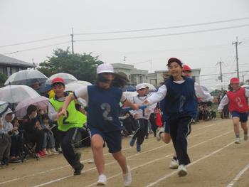 なかフェス