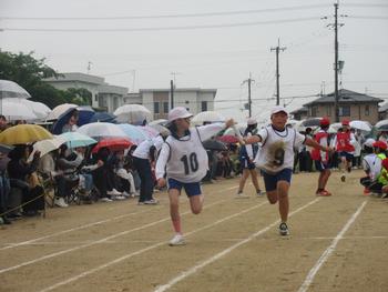 なかフェス