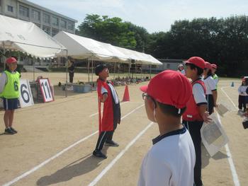なかフェス
