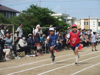 なかフェス