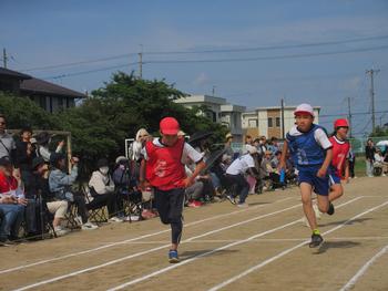 なかフェス