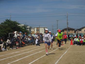 なかフェス