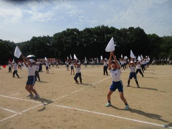 なかフェス