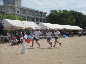 なかフェス