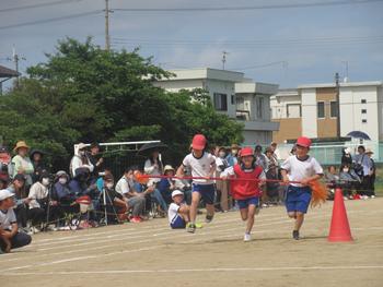なかフェス