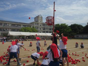なかフェス