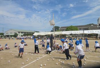 なかフェス