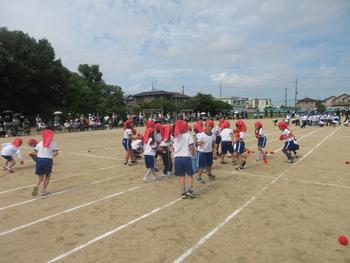 なかフェス