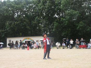 なかフェス