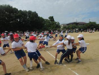 なかフェス