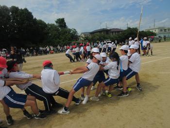 なかフェス