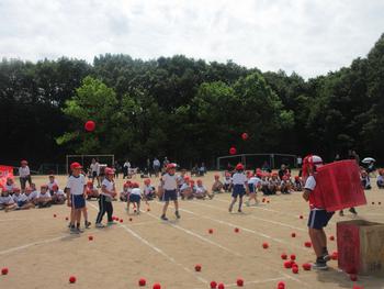 なかフェス