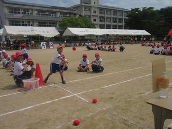 なかフェス