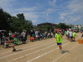 なかフェス