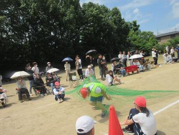 なかフェス