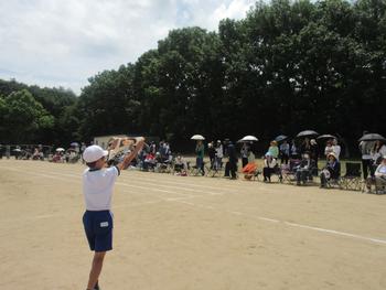 なかフェス