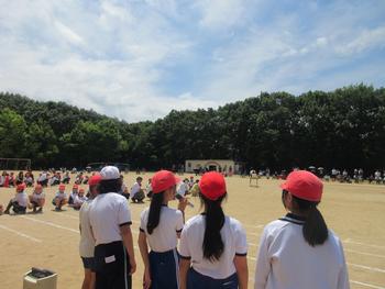なかフェス