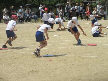 なかフェス