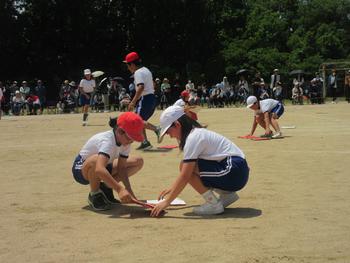 なかフェス