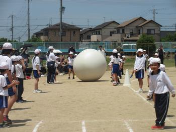 なかフェス
