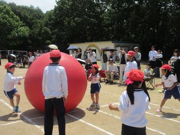 なかフェス