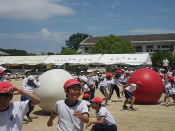 なかフェス