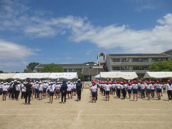 なかフェス