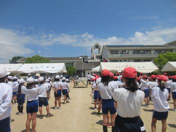 なかフェス