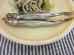 ししゃも
